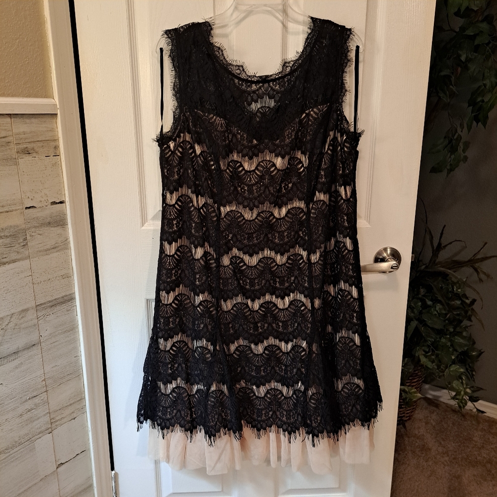 Dress Barn Eyelash Lace Cream Tulle Underlay Dress